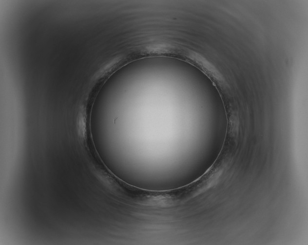 X0000101660446200807171317