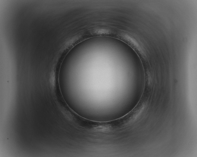 X0000101660447200807171317