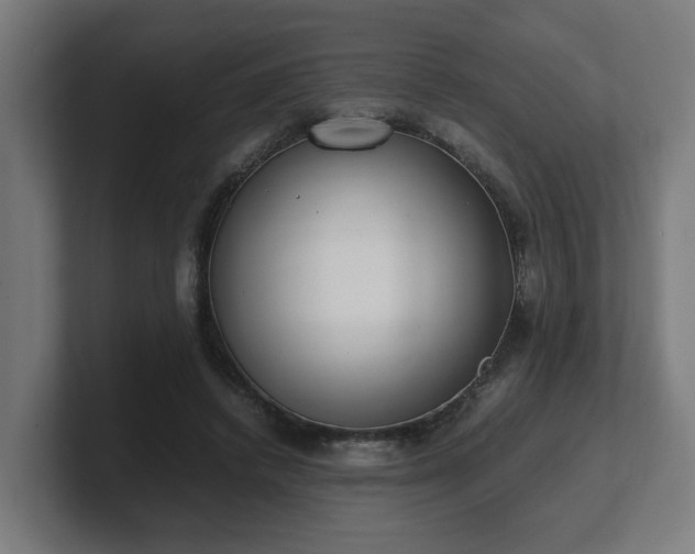 X0000101660448200807171317