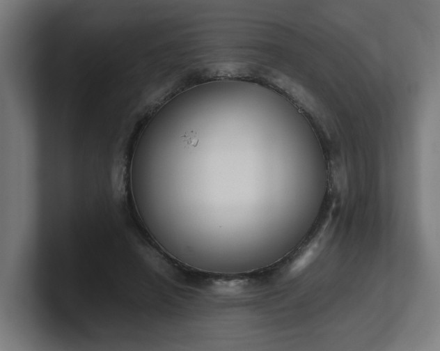 X0000101660450200807171317