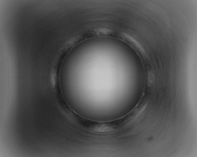 X0000101660451200807171317