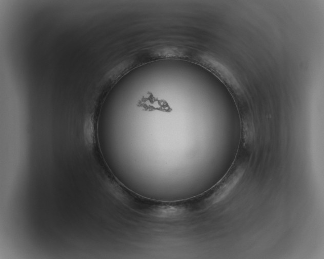 X0000101660453200807171318