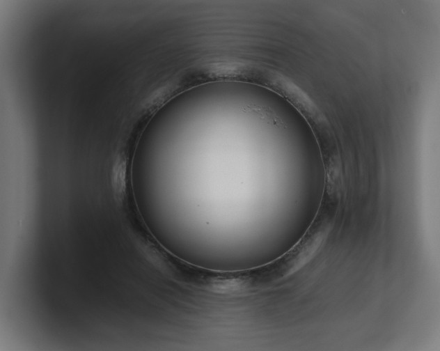 X0000101660454200807171318