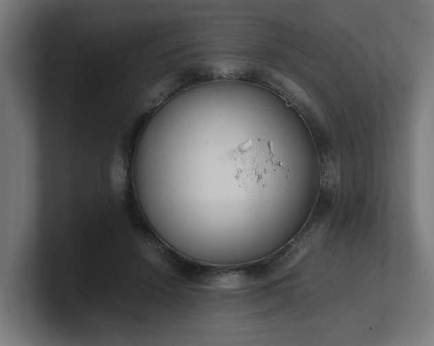 X0000101660456200807171318