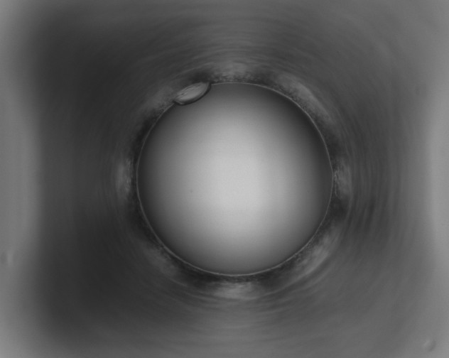 X0000101660458200807171318