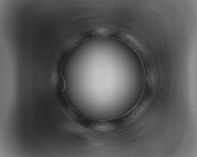 X0000101660459200807171318