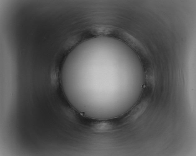 X0000101660460200807171318