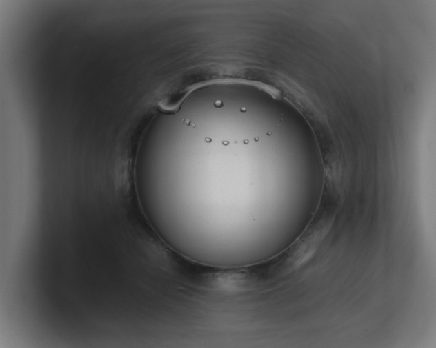 X0000101660462200807171318