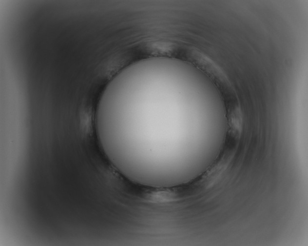 X0000101660468200807171318