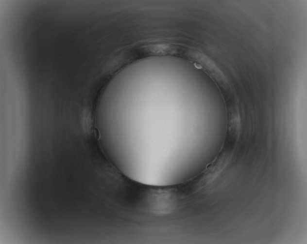 X0000101660469200807171318