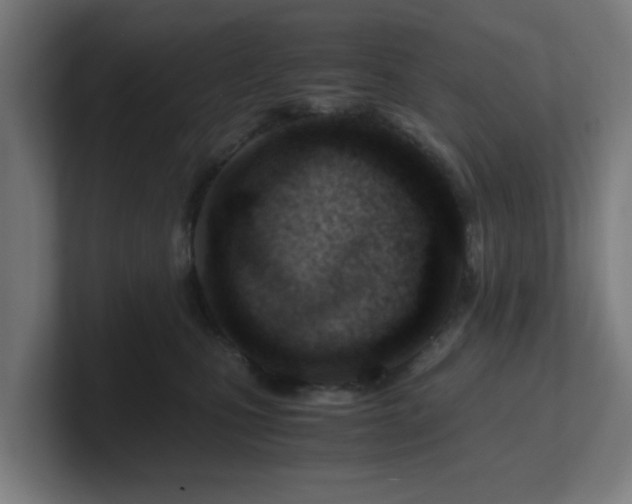 X0000101660471200807171318