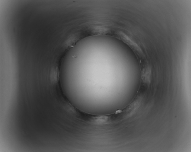 X0000101660474200807171318