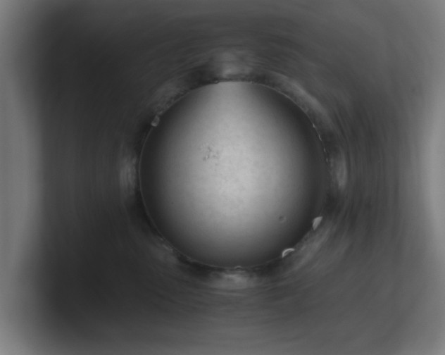 X0000101660475200807171318