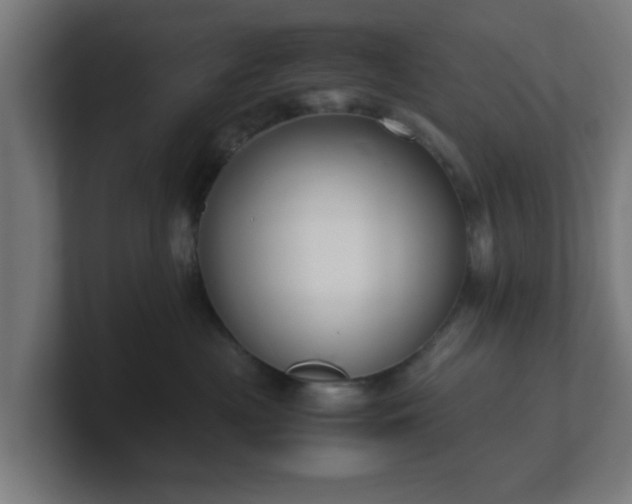 X0000101660477200807171318