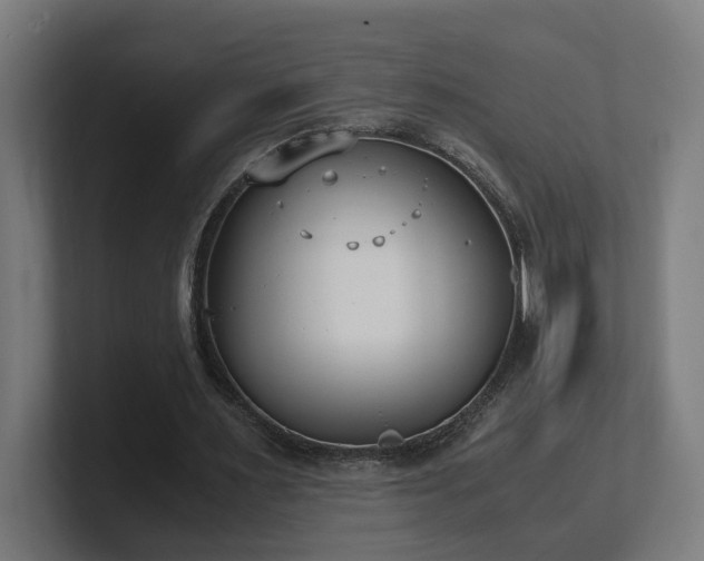 X0000101660483200807171317