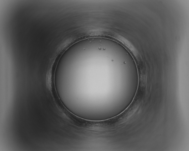 X0000101660485200807171317