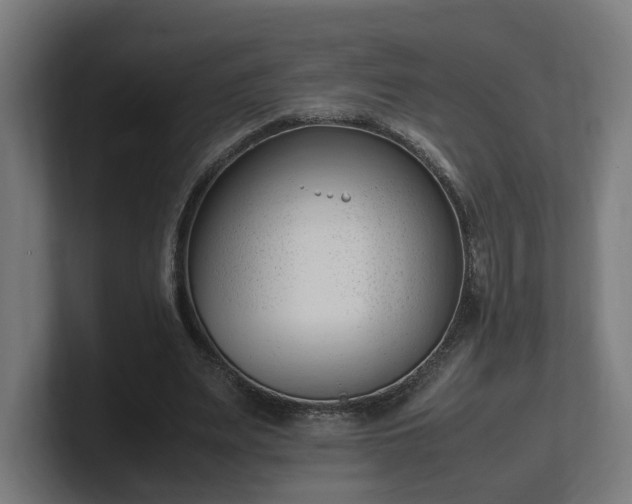 X0000101660487200807171317