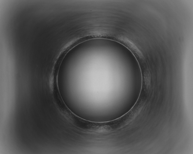 X0000101660488200807171317