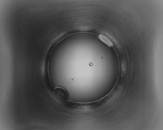 X0000101660492200807171317