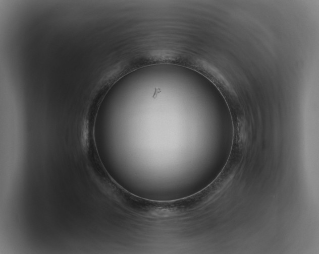 X0000101660494200807171317