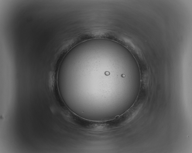 X0000101660495200807171317