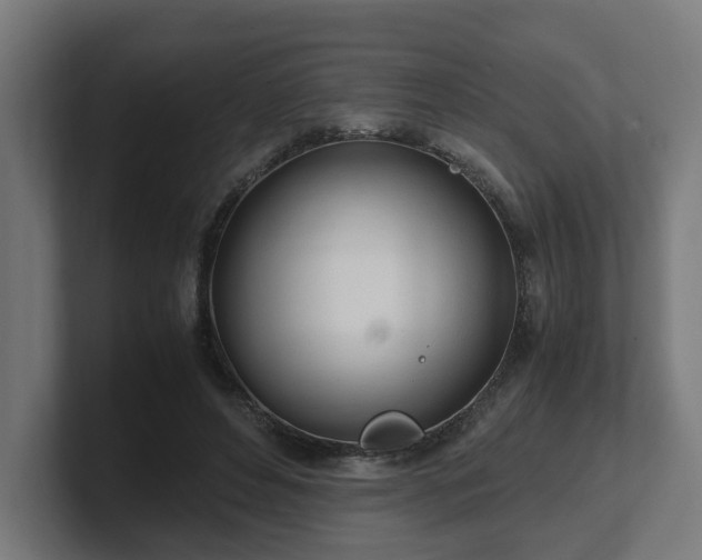 X0000101660496200807171317