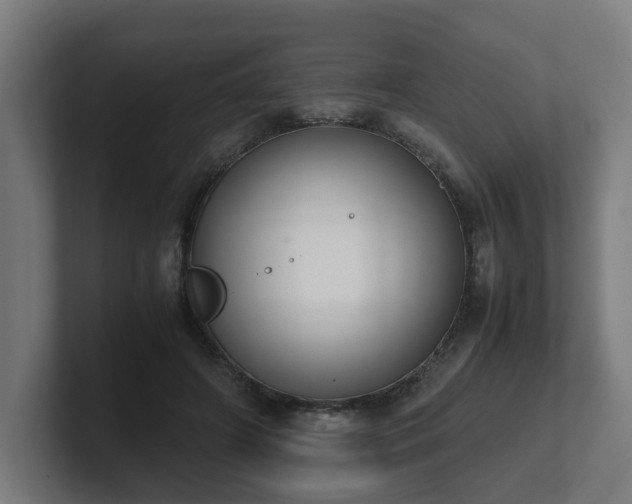 X0000101660498200807171317