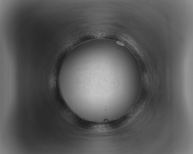 X0000101660499200807171317