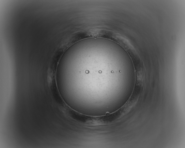 X0000101660503200807171317