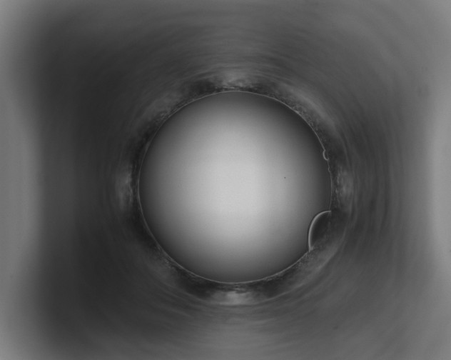 X0000101660506200807171317