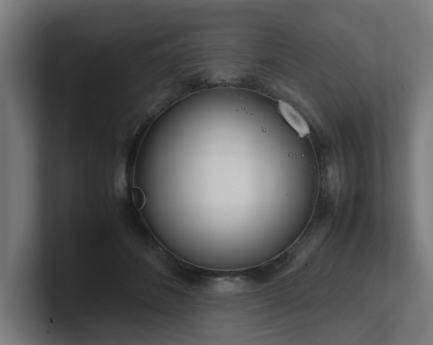 X0000101660508200807171317