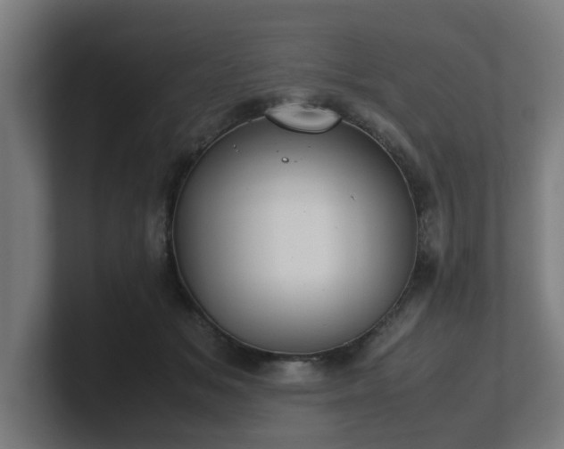 X0000101660509200807171317