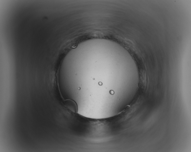 X0000101660511200807171317