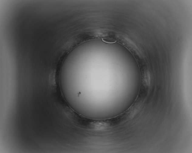 X0000101660512200807171317