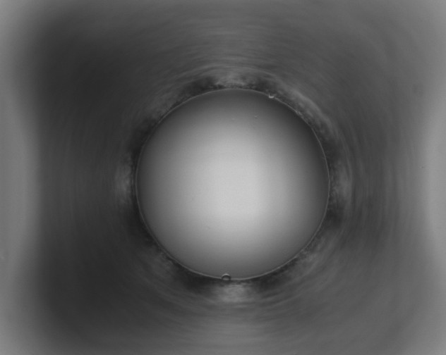 X0000101660513200807171317