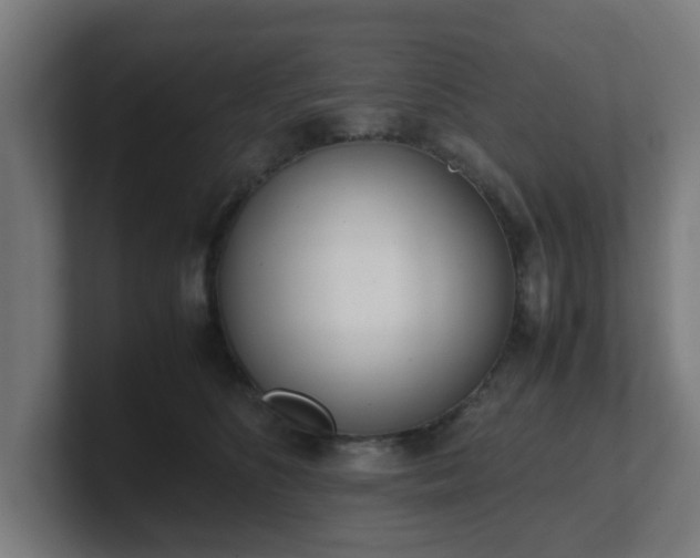 X0000101660516200807171317