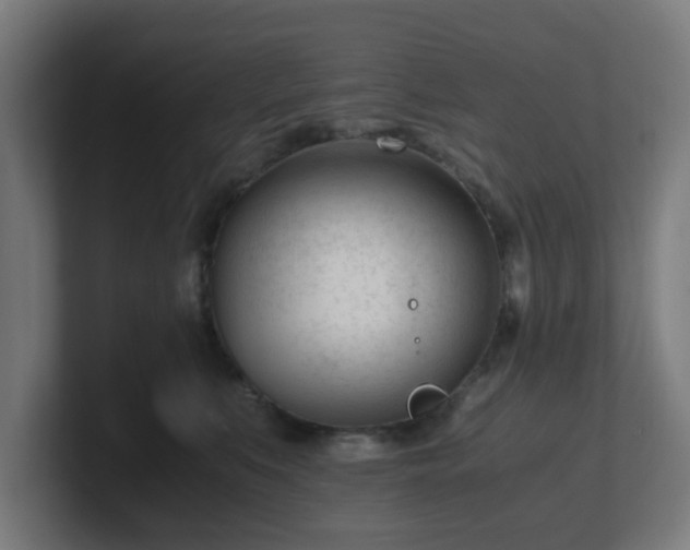 X0000101660519200807171317