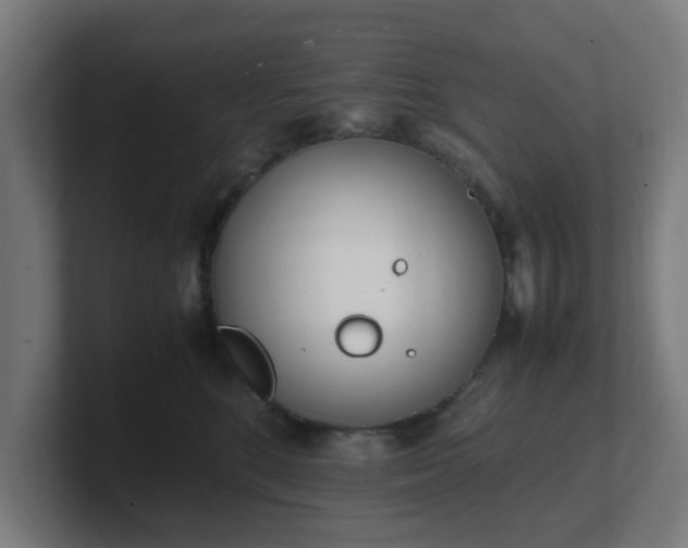 X0000101660520200807171317