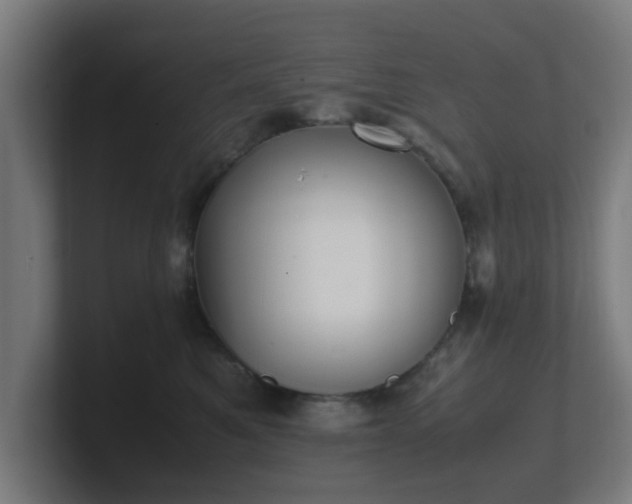 X0000101660521200807171317