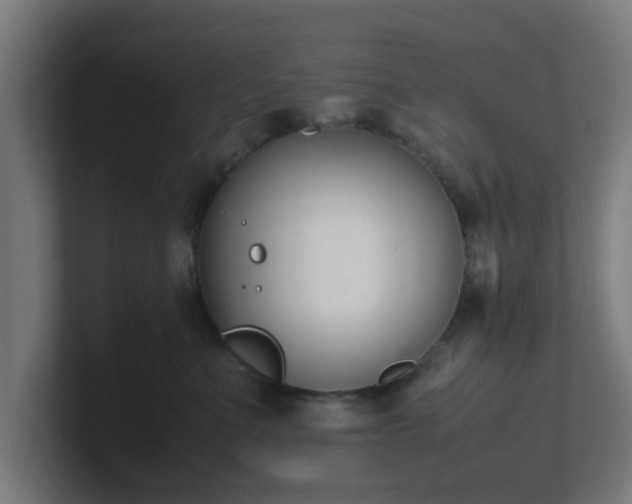 X0000101660523200807171317