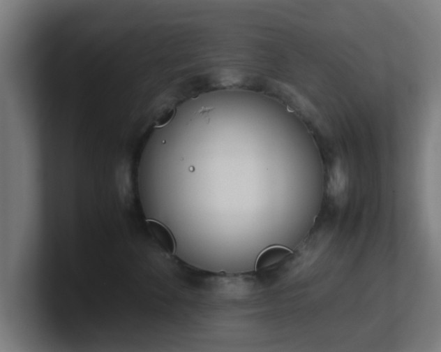 X0000101660524200807171317