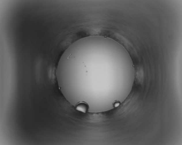 X0000101660525200807171317