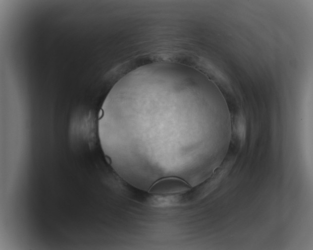 X0000101660526200807171317