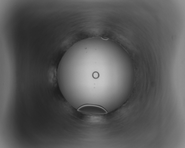 X0000101660528200807171317