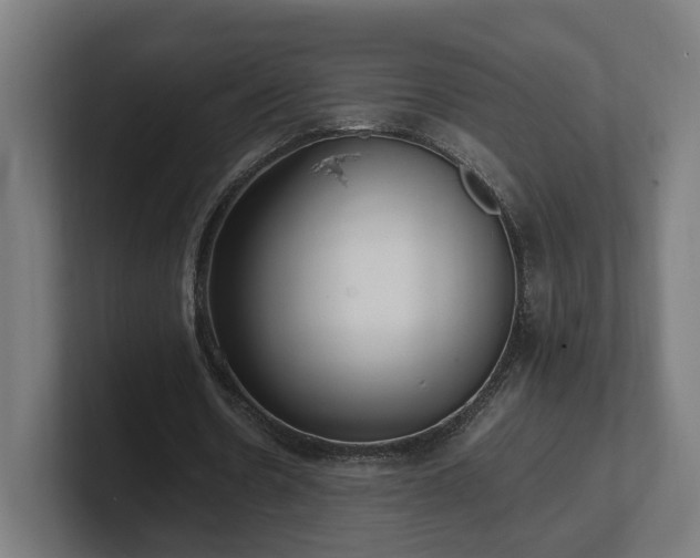 X0000101660530200807171316