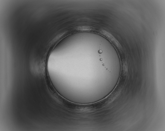 X0000101660533200807171316