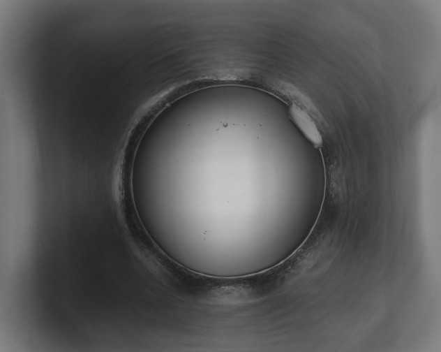 X0000101660536200807171316