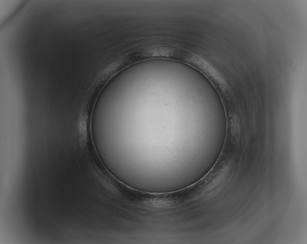 X0000101660537200807171316