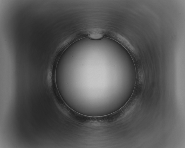 X0000101660538200807171316