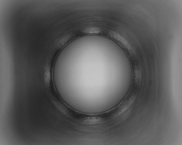 X0000101660541200807171316